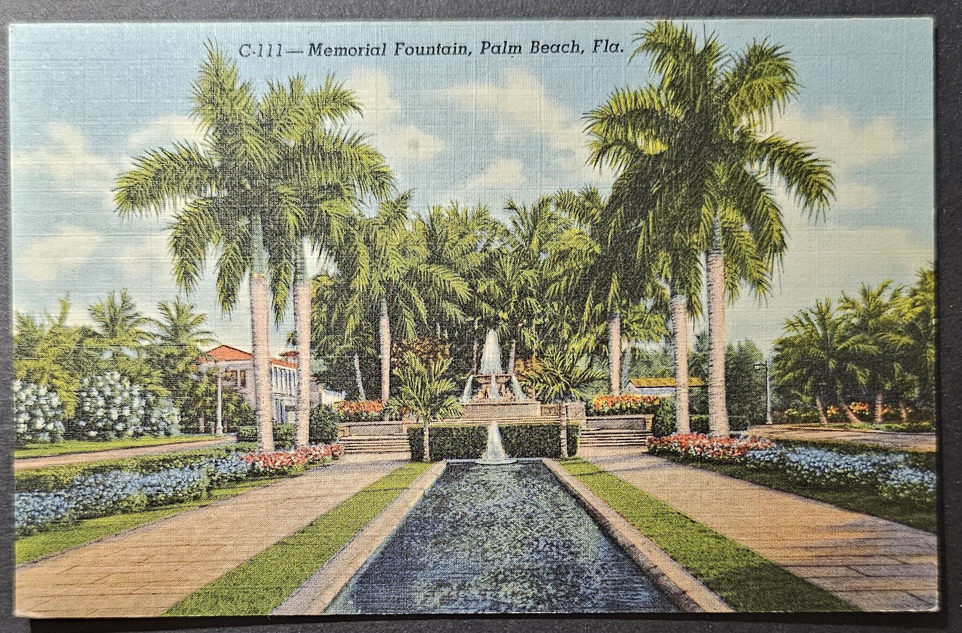 (image for) postcard USA - FL - Florida #0062